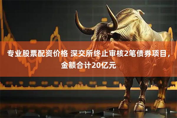 专业股票配资价格 深交所终止审核2笔债券项目，金额合计20亿元